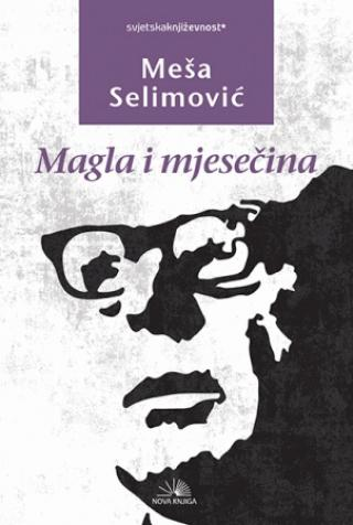 Magla i mjesečina